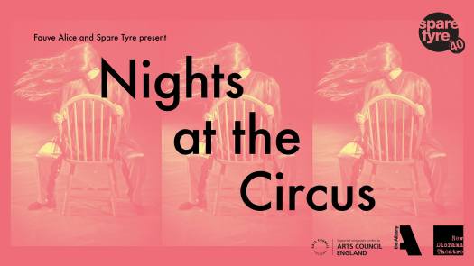 Projects-Nights-At-The-Circus
